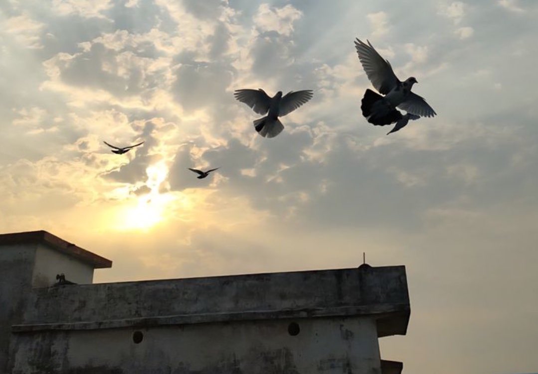 CЄЄJᗩЧ - 得 tweet media