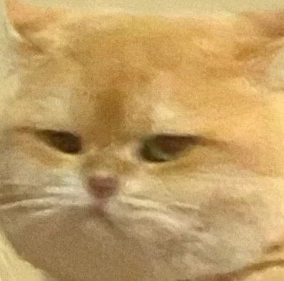 Oke bye aku akan pergi bersama npps gausah cariin aku.