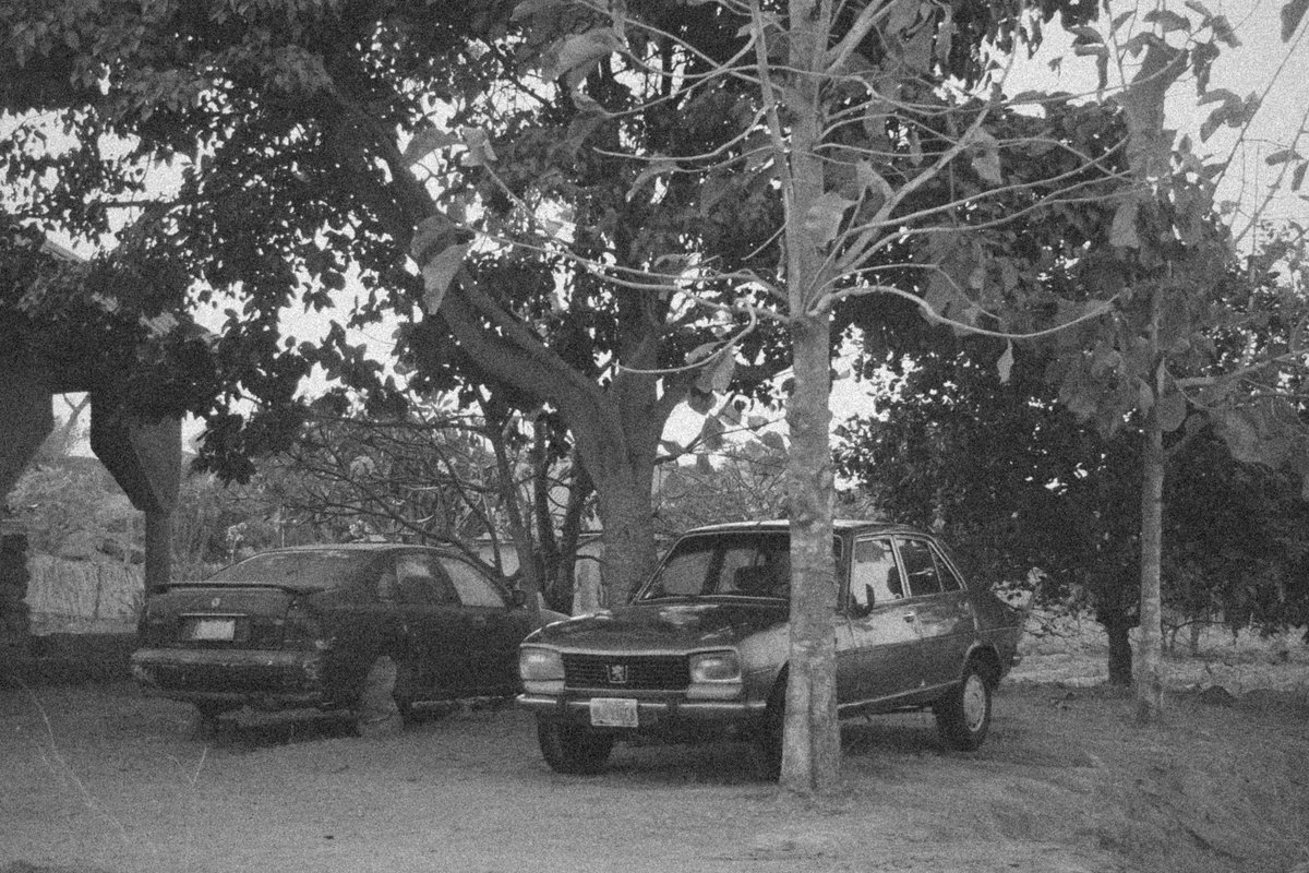 Dakwat Longji tweet media