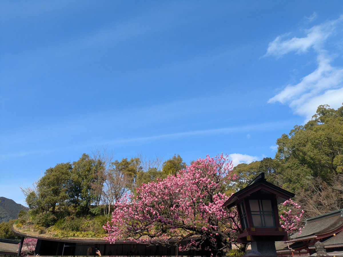 85wszy's tweet photo. 少し前。天満宮。 https://t.co/XHJseuzEdB