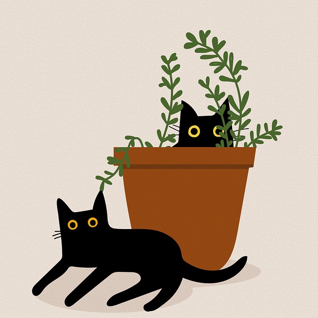 Tara Davidson tweet media