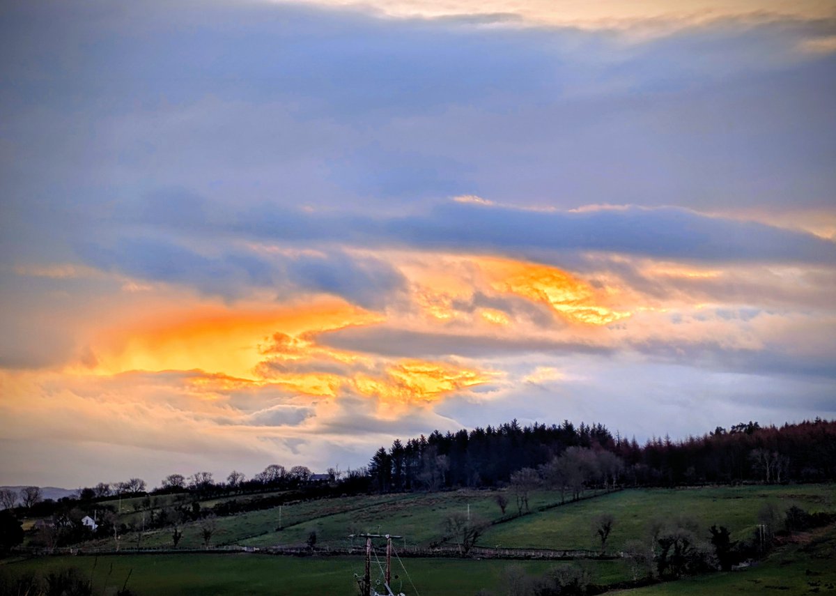 Anne Kelly ⛔NO DMs⛔ unless I know or follow you. tweet media