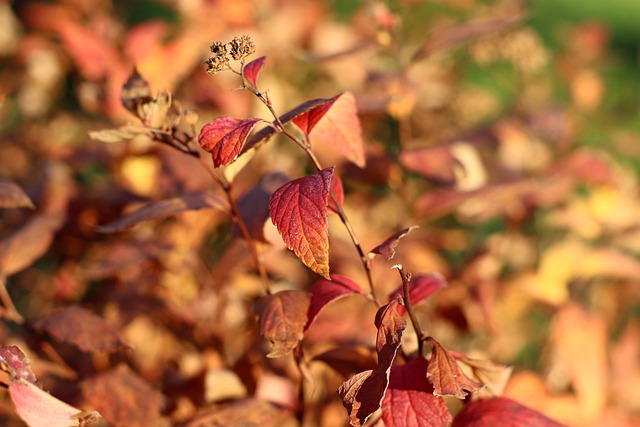 Justin Rodriguez tweet media