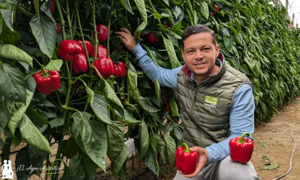 José Antonio Arcos tweet media