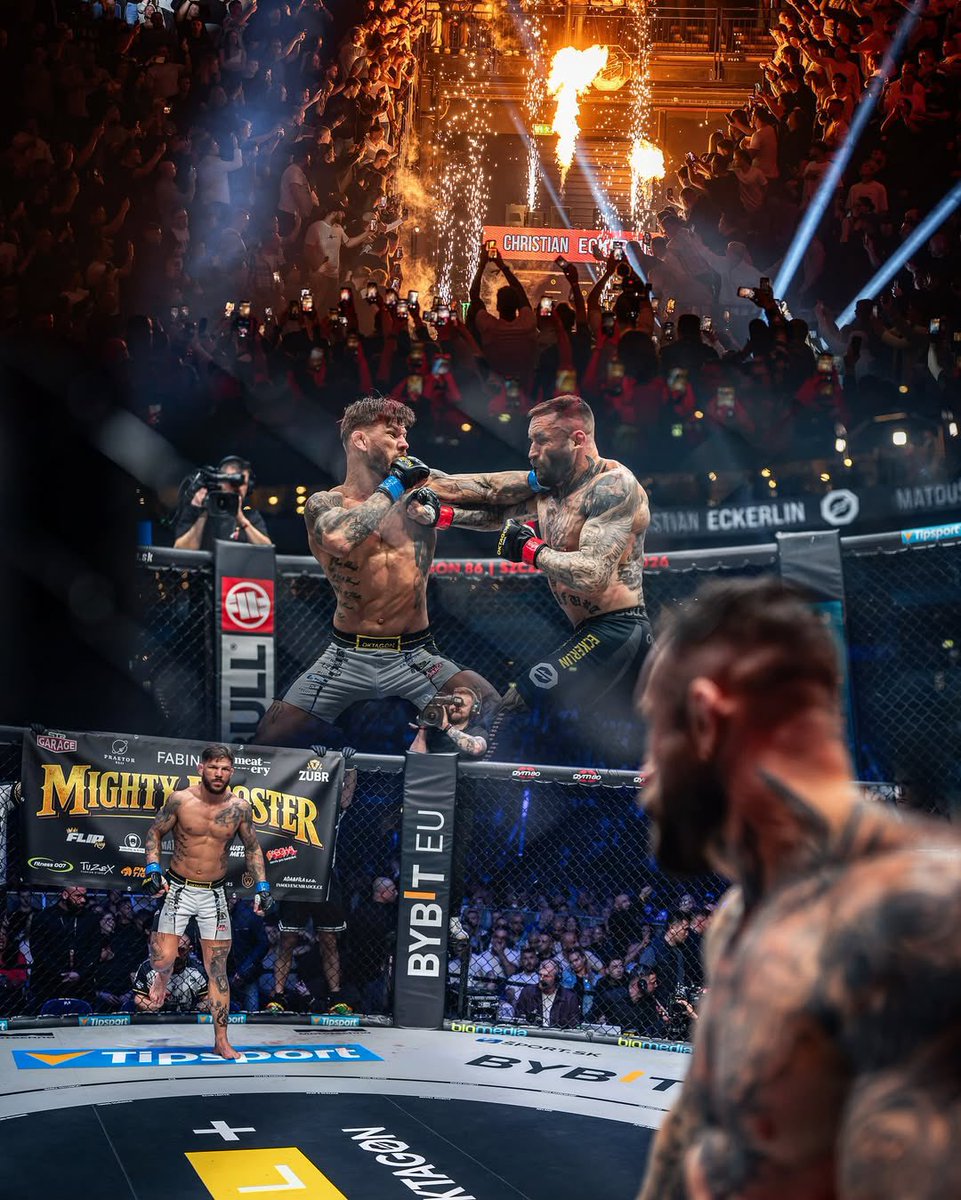 Czas na MMA tweet media