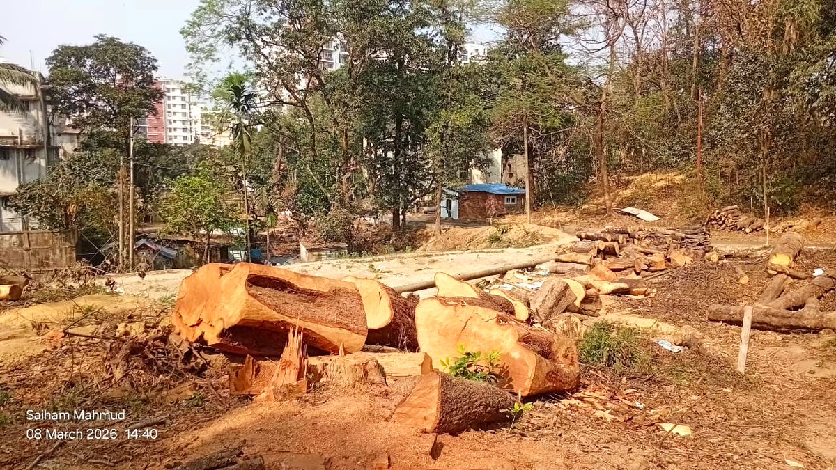 Climate_Allies's tweet image. 🌱Stop the chainsaw, save our future! 
Every tree matters — don’t cut them randomly. 
Protect greenery, protect life. 💚💚 

#SaveTrees 
#Environment 
#ActNow 
#GoGreen