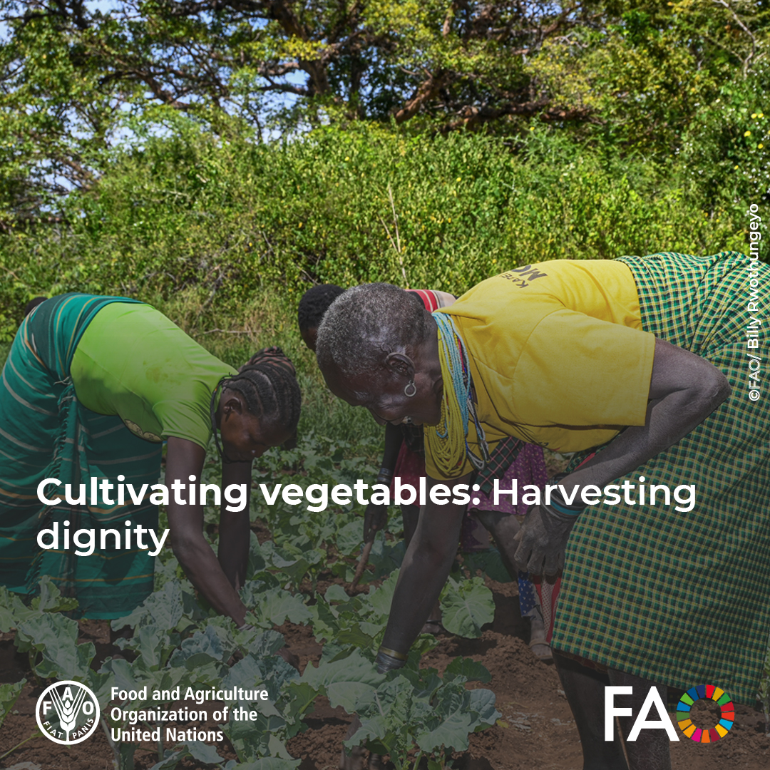 FAO in Uganda tweet media