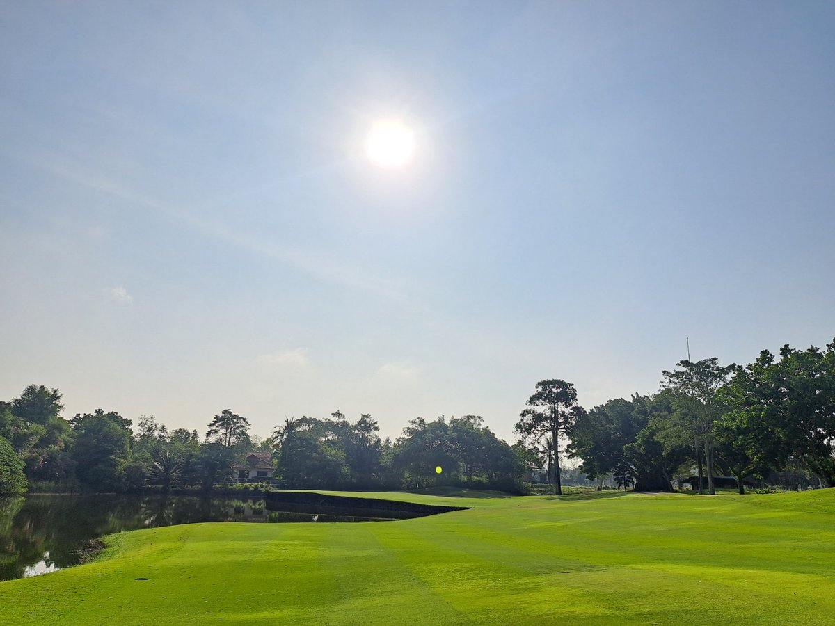 Mitsu Yamaguchi tweet media