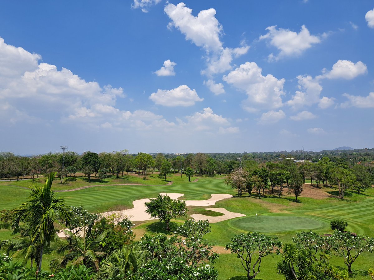 Mitsu Yamaguchi tweet media