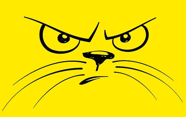 Donovan Prono tweet media