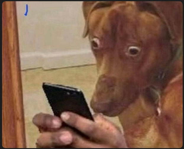 Troy 🍞 tweet media