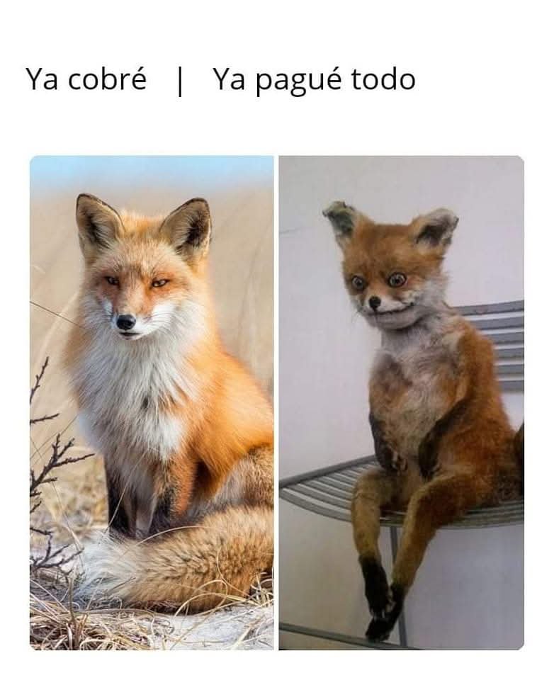 BANDIDOS (@bandidosfrasess) on Twitter photo 