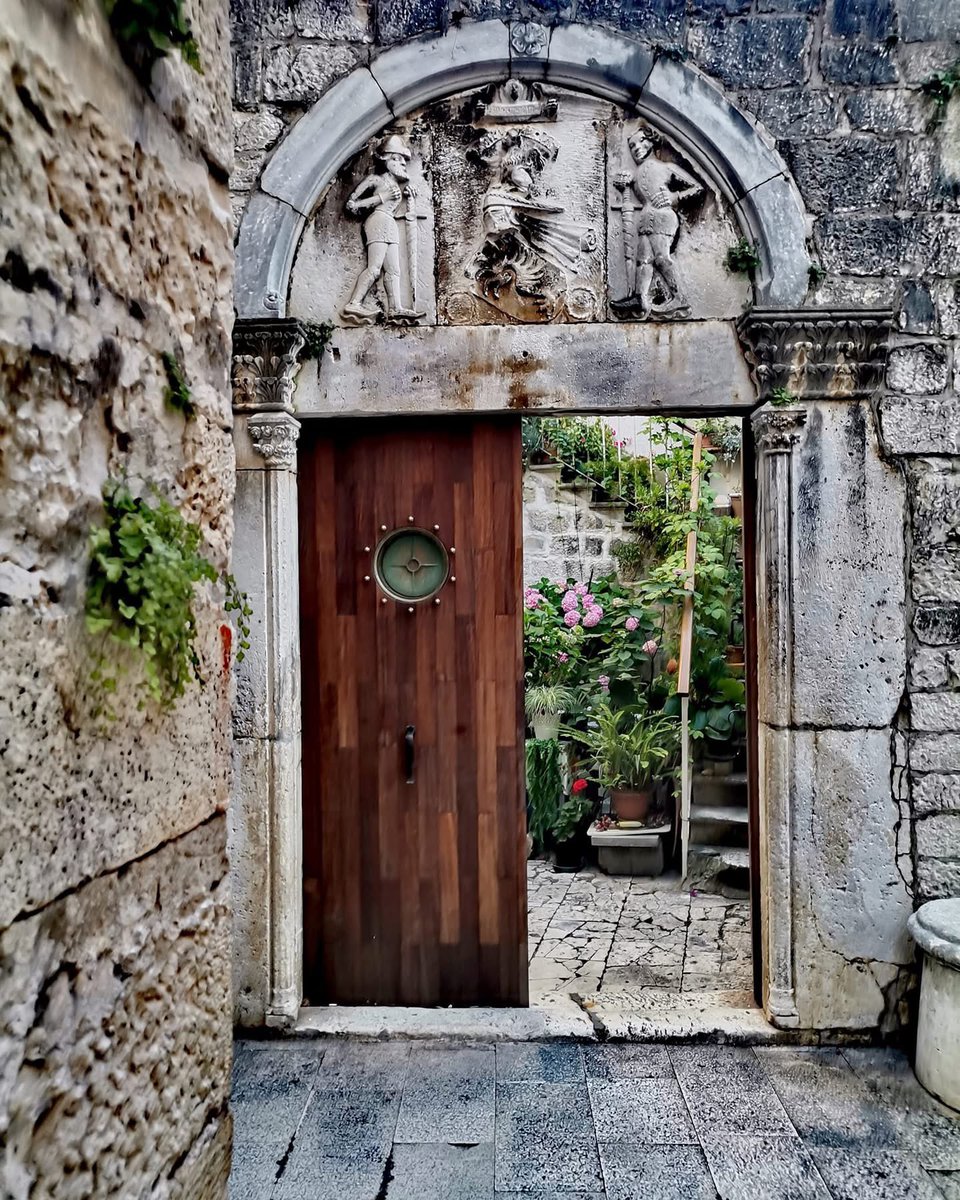 Marina Vujčić tweet media