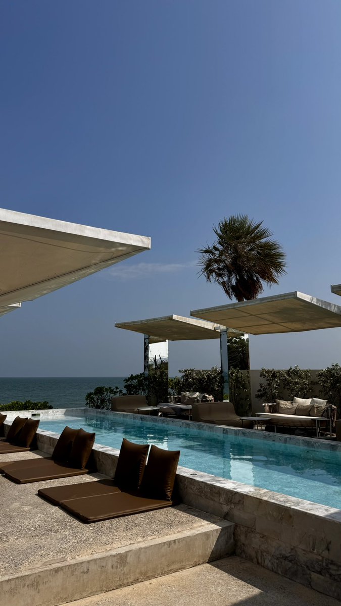 Edward Morra tweet media