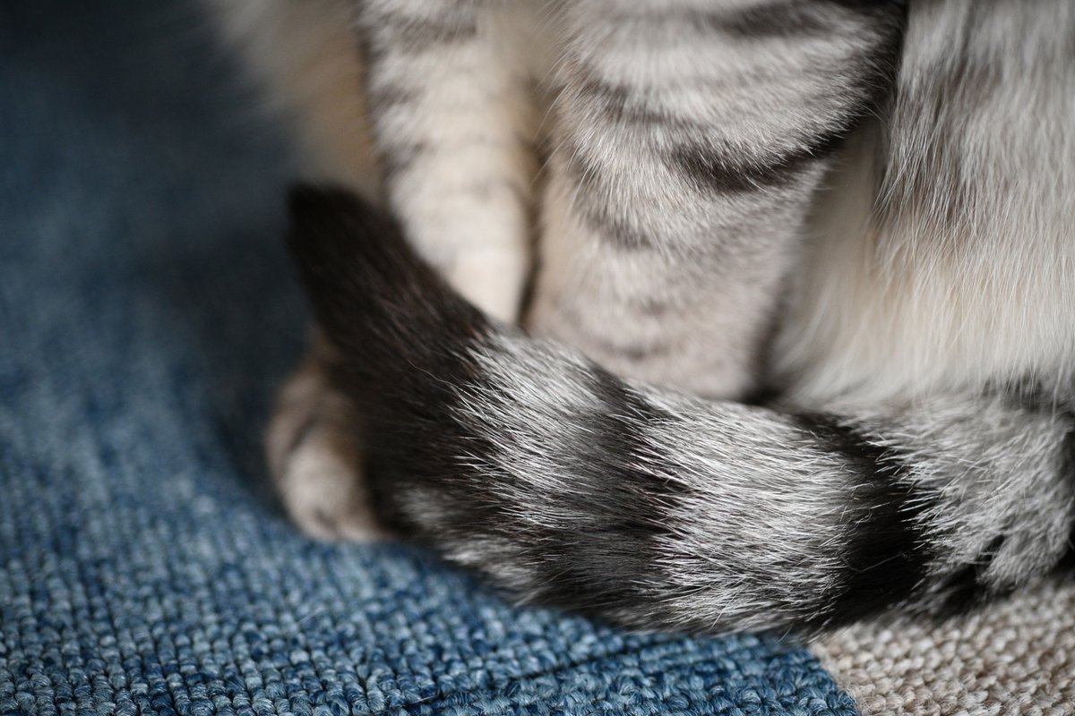 deeeee1c tweet media