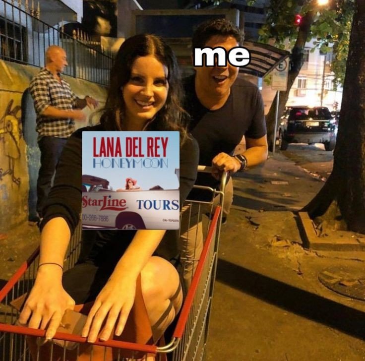 Lanaphoria tweet media