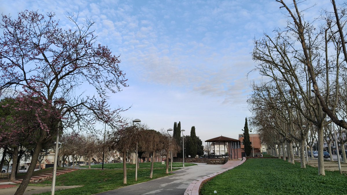 Joan Ramon Mercè tweet media