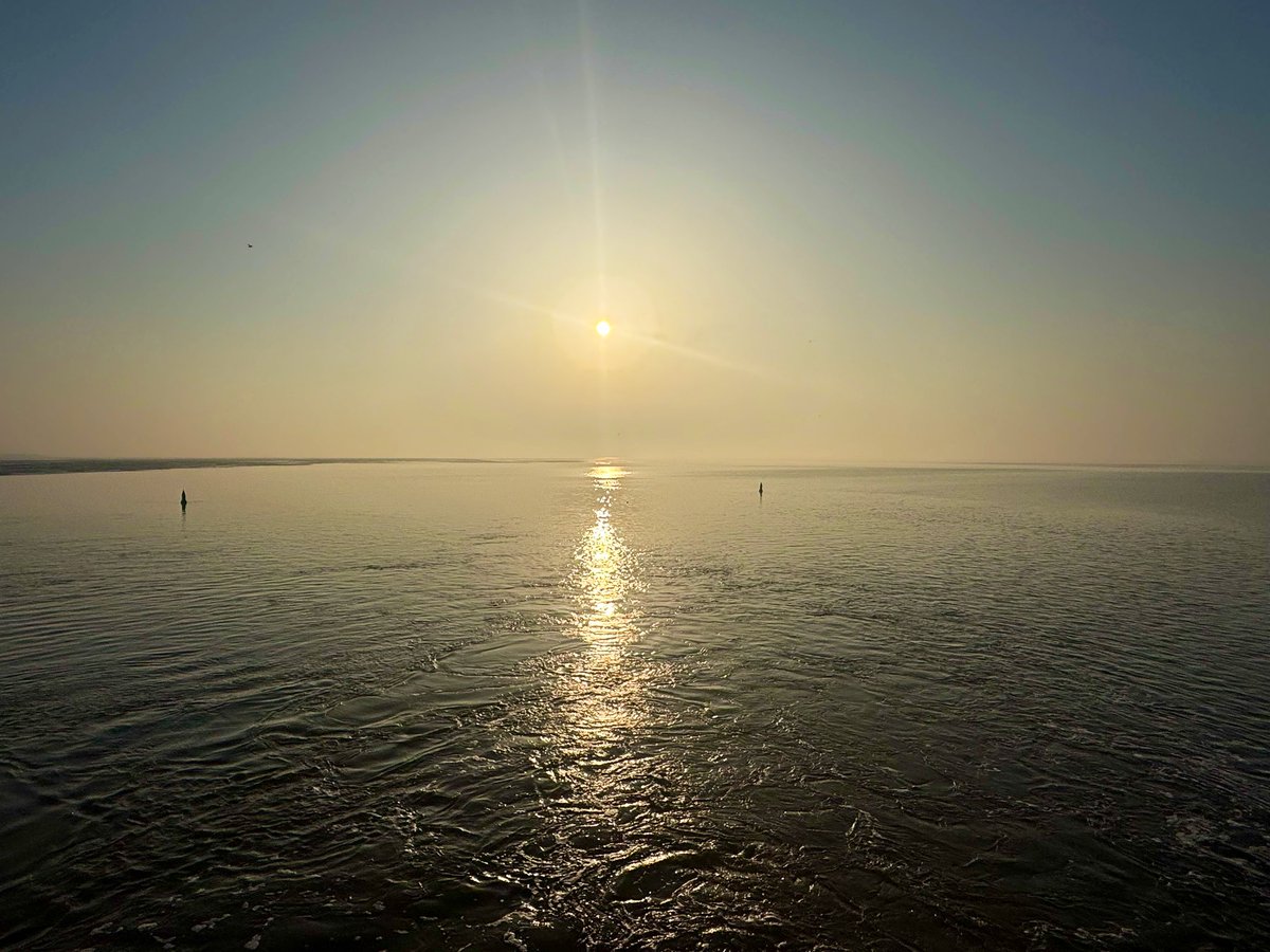 richardtkiewiet tweet media