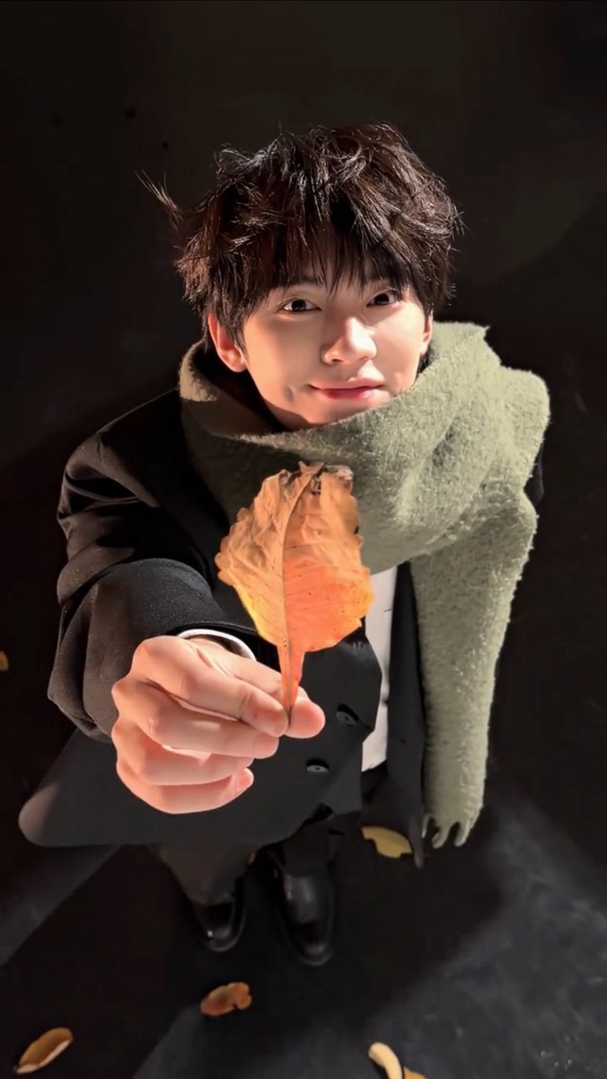 먀오 tweet media