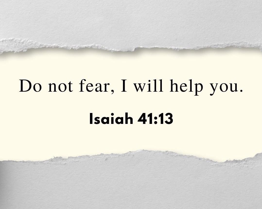 Holy Bible tweet media