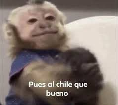 crizXIII's tweet photo. @herqles_es Jajajajajaja https://t.co/VNjF0J7aBZ