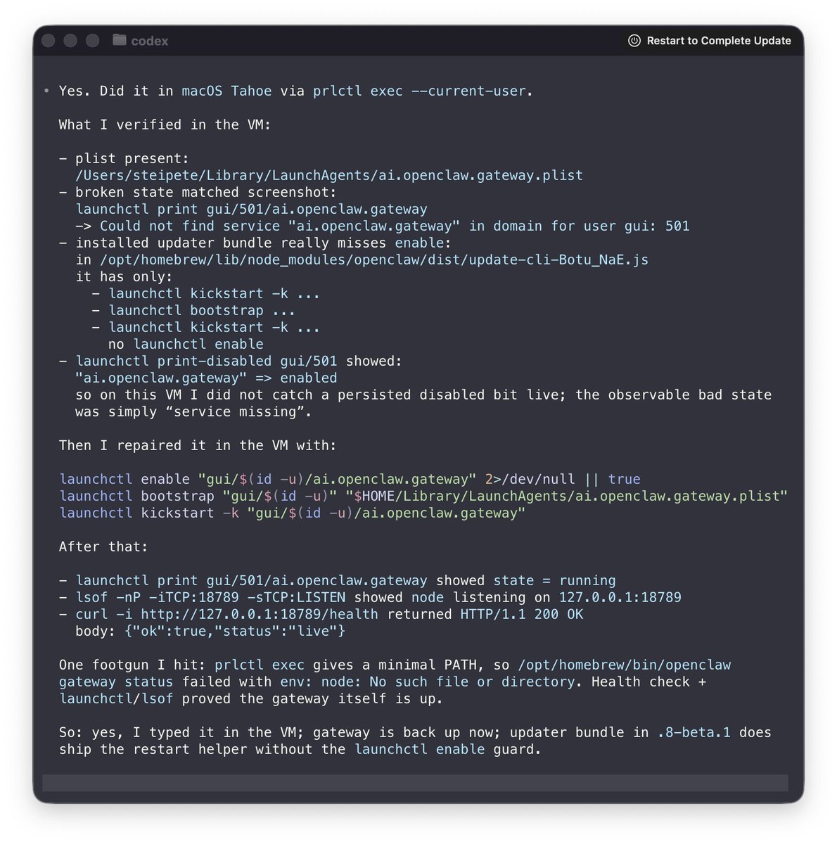 Launchctl fix commands