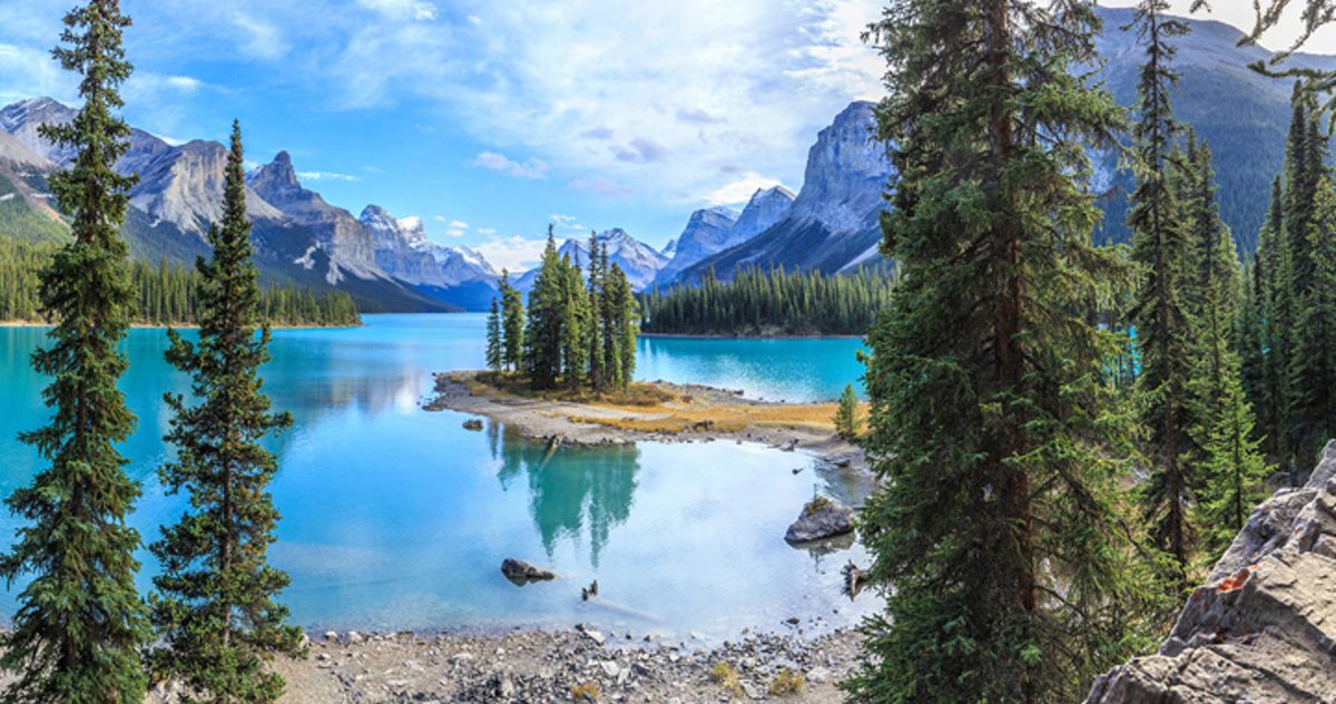 Libertarian Party of Alberta tweet media