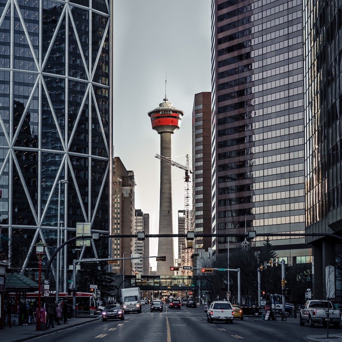 Libertarian Party of Alberta tweet media