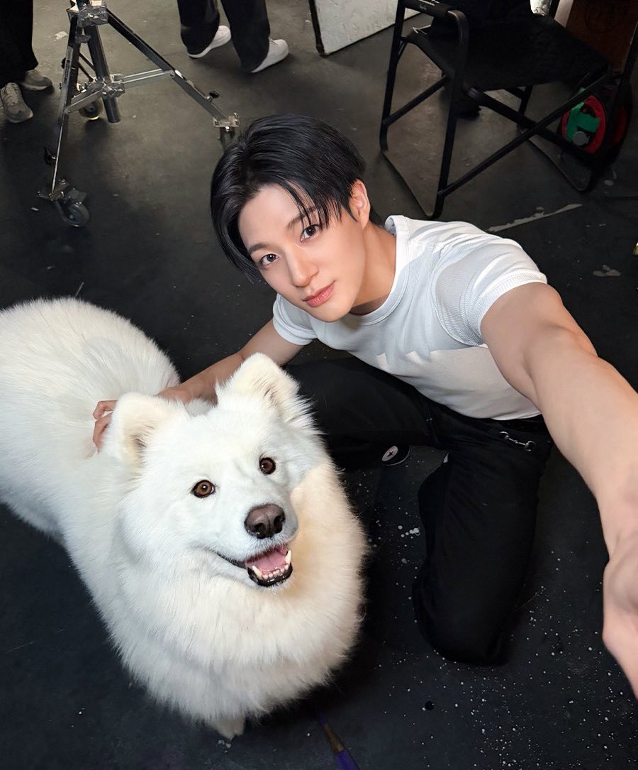 เข้าใจแจมินทุกอย่างทำไมถึงบอกว่าเจโน่เป็นซามอยด์5555555555555555 พอมาถ่ายมุมนี้แล้วเป๊ะเลย เข้าใจแจมินทุกอย่าง555555555555555 นรรรร