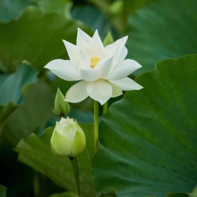 Tu12340's tweet photo. #ẢnhHồsơMới https://t.co/LAcSO8xAJ8