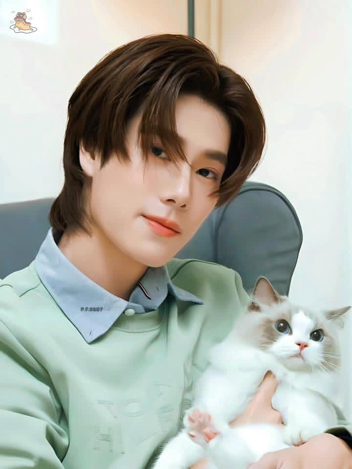 SOC-IE 💛 ˚☽˚.⋆ tweet media
