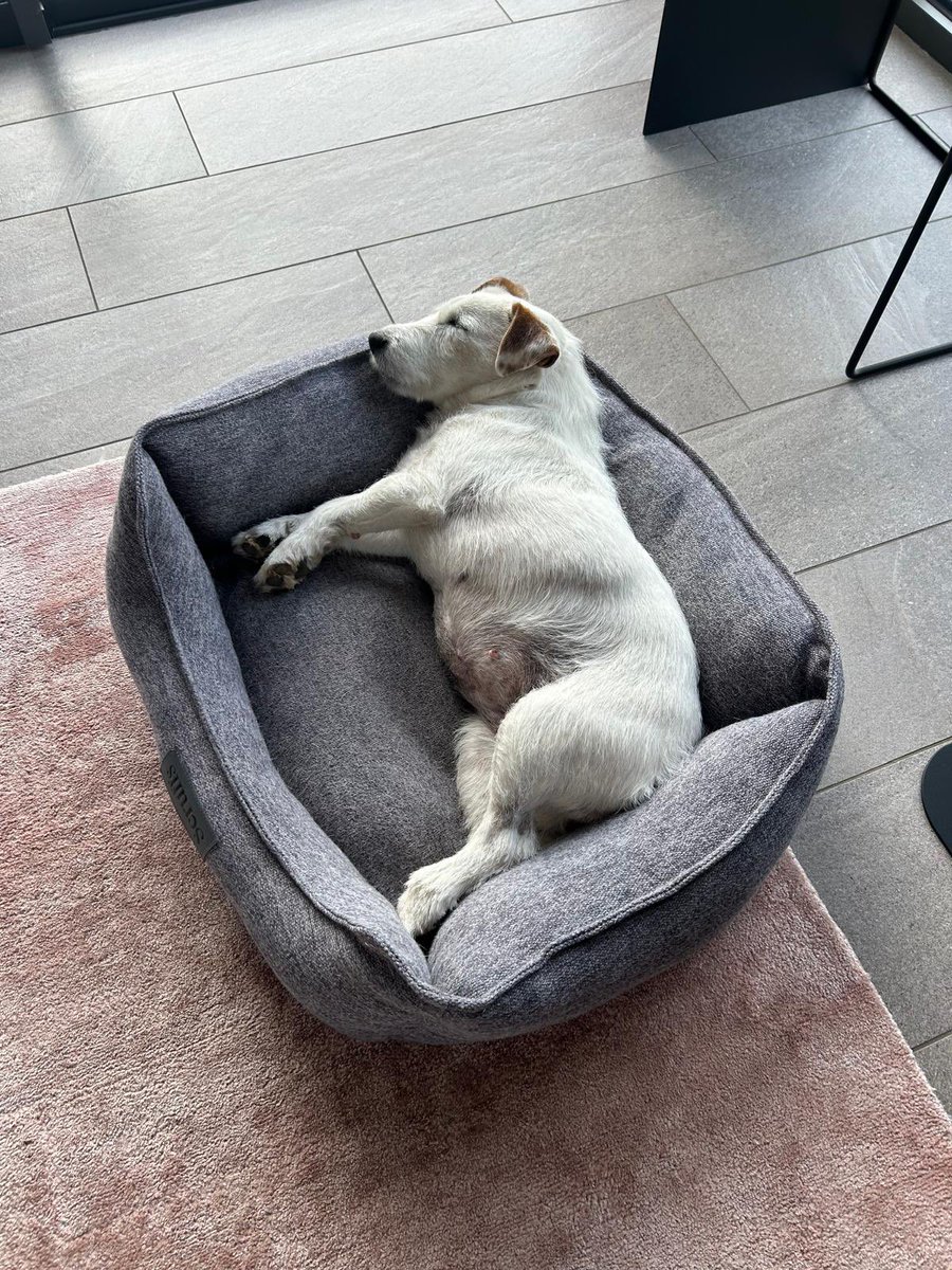 Au secours  mes followers, je suis coincée à Dubaï !
Une petite photo à poil pour vous montrer mon BBL !