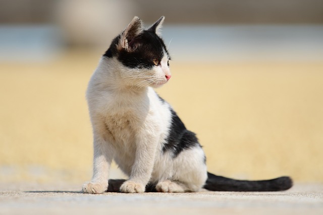 Jacob Baker tweet media