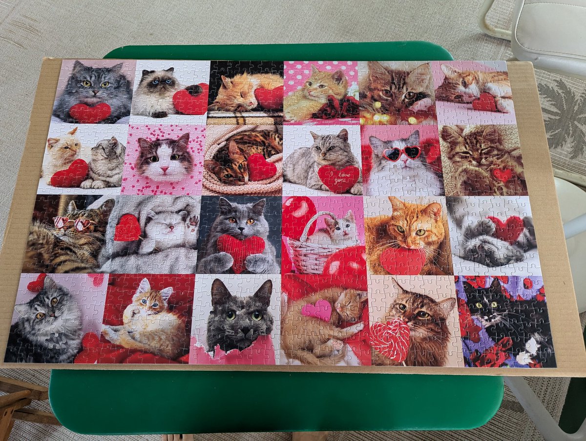 Fit🌞Life🌞Travel tweet media