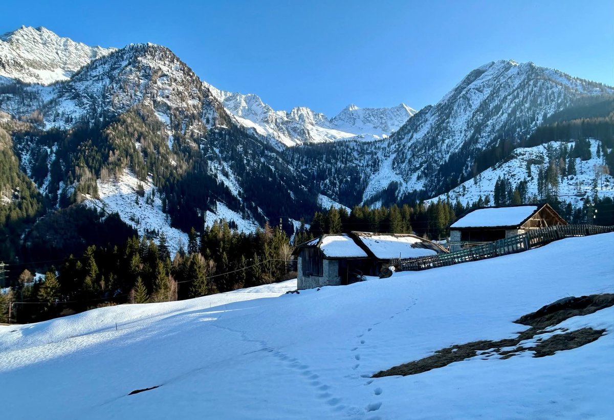 Iva Callegari tweet media