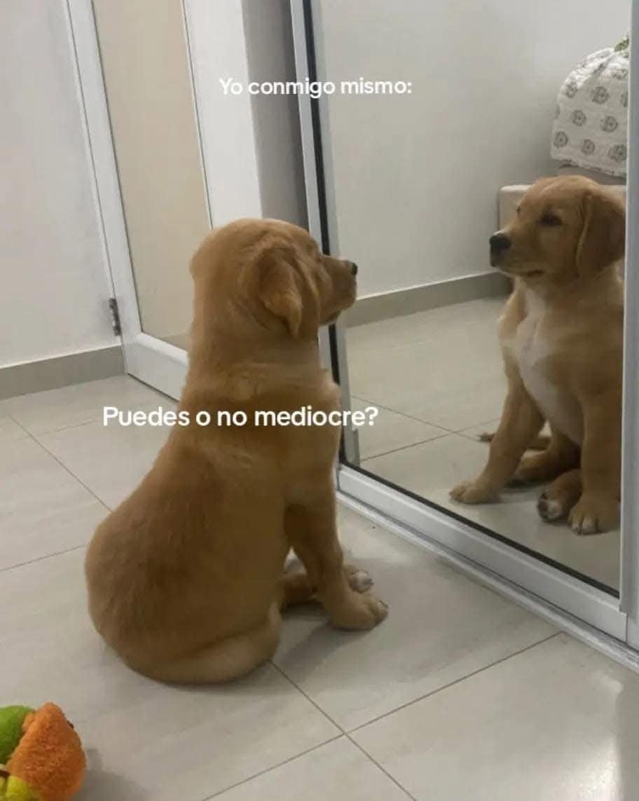 BANDIDOS tweet media