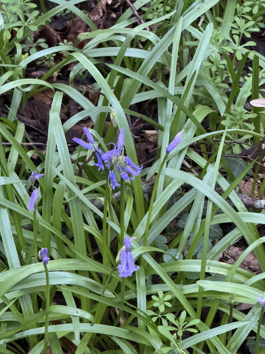 Stuart Roberts 🔸 tweet media