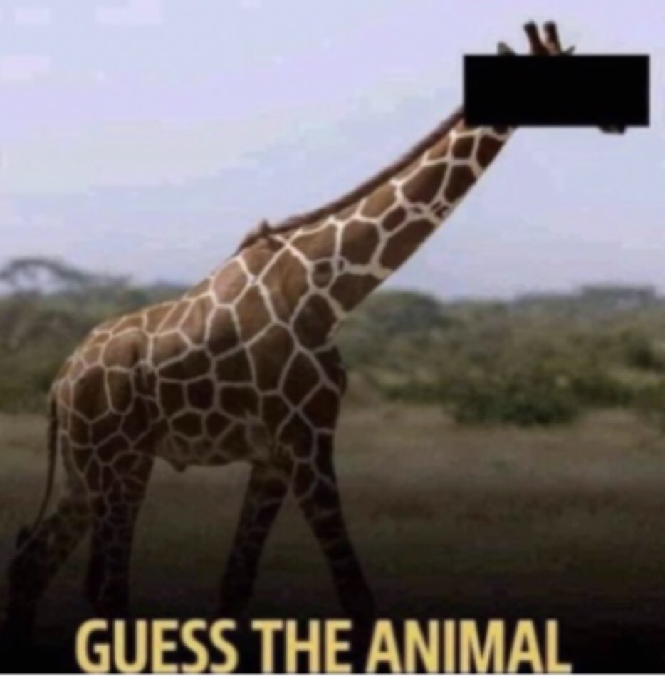 David P Perlmutter - Author. Actor. Dreamer. ✍🏼🎬 tweet media