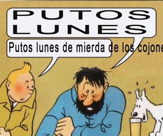 chincheto pirata somali (@wikipistacho) on Twitter photo 