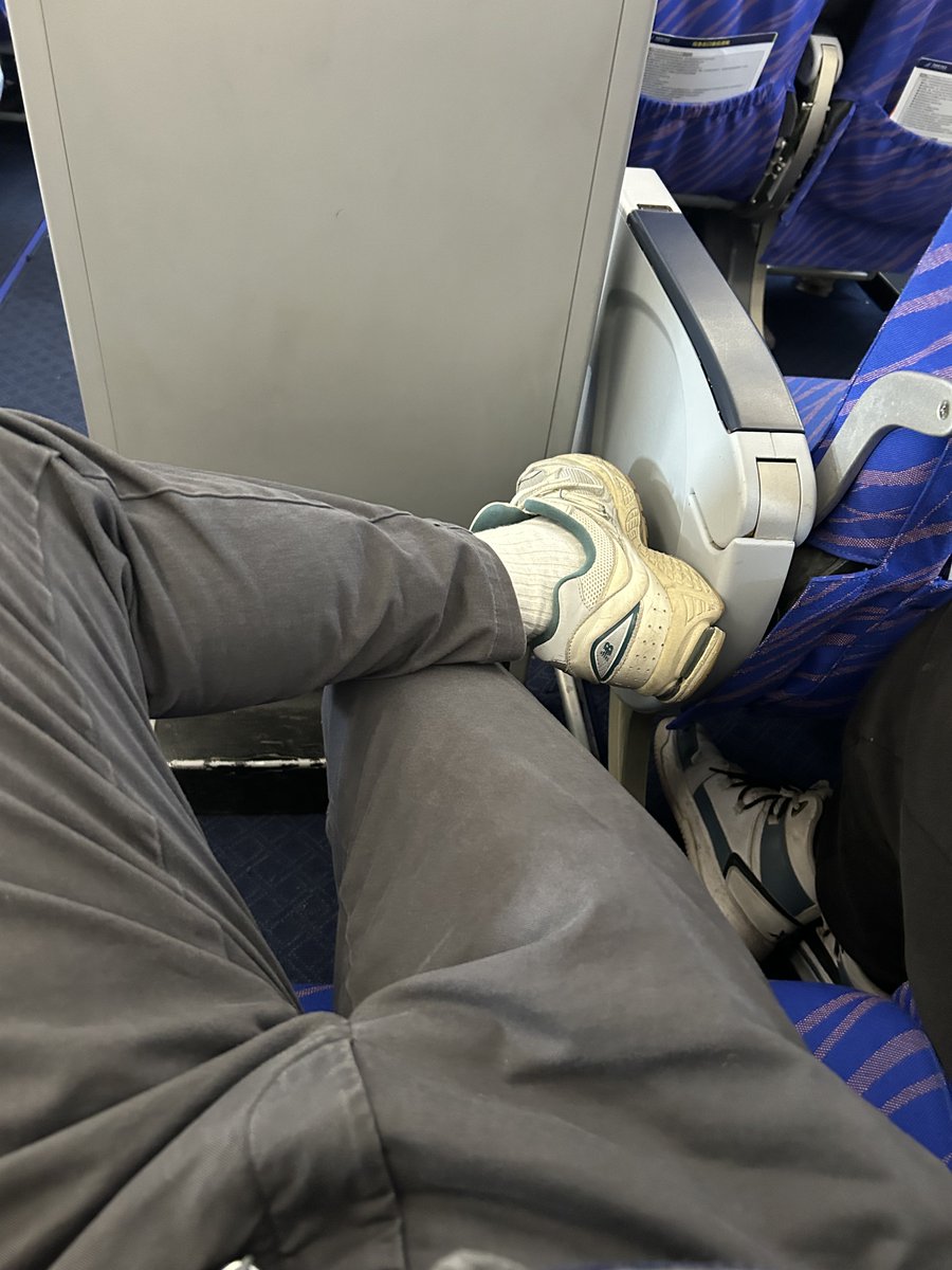 木头鱼 tweet media