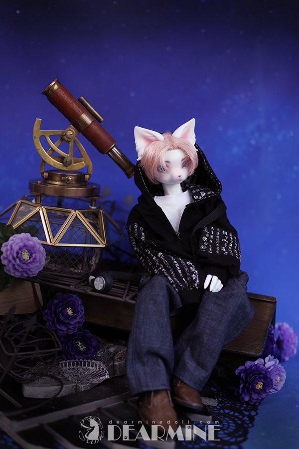 DearMine 디어마인 tweet media