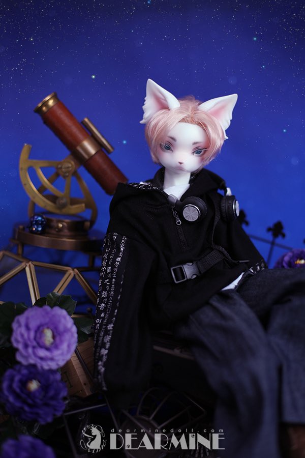 DearMine 디어마인 tweet media