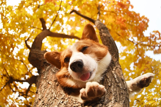 Jessica Snider tweet media