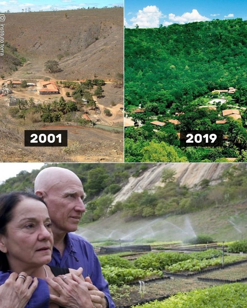 🇨🇵✌️ Alexy tweet media