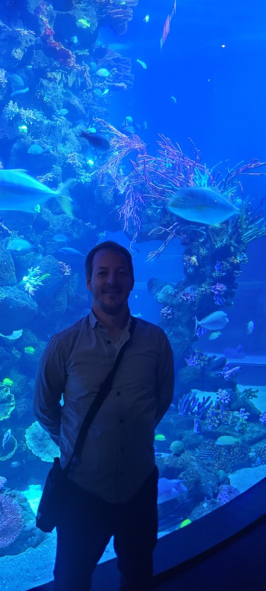 SMASH MSCA tweet media