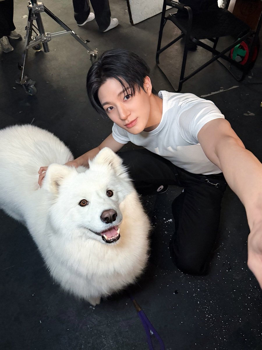 เหมือนคนเดียวกัน ต่างกันแค่เป็นร่างมมุษย์กับร่างซามอยด์555555555555555