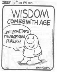 stephan joubert tweet media