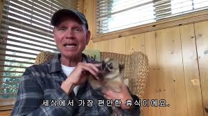 하늘색사진기🪼🫧🦌🧪 tweet media