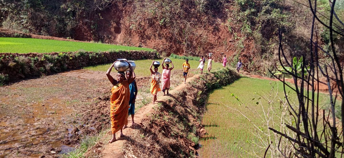 Shankar Pujari tweet media