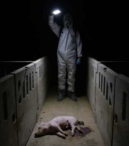 Graham Ⓐ 🏴 Ⓥ Use ALT tweet media